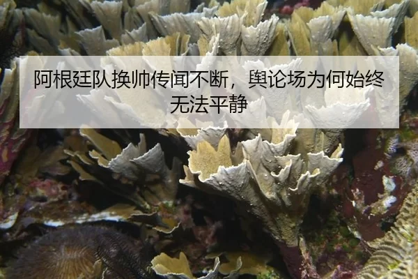 a-gen-ting-dui-huan-shuai-chuan-wen-bu-duan-yu-lun-chang-wei-he-shi-zhong-wu-fa-ping-jing-2-892.jpg